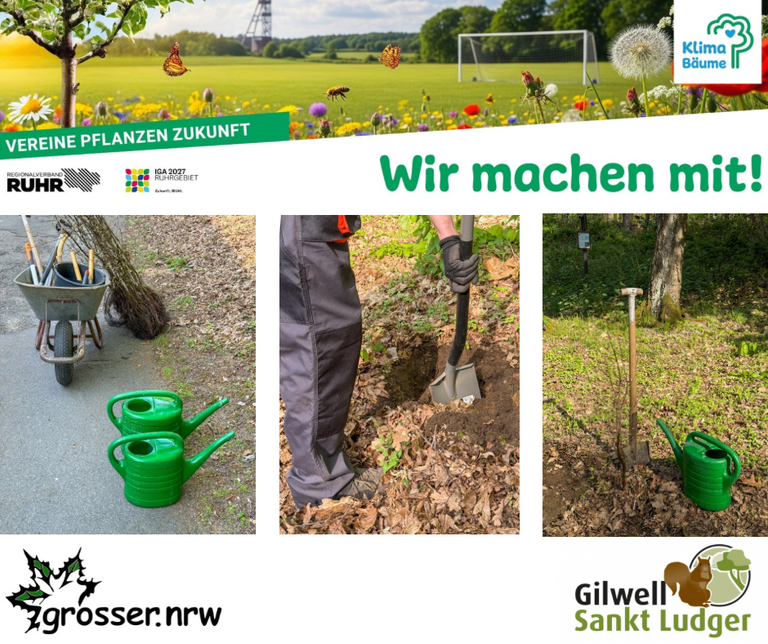 Das Bikld zeigt den Schriftzug "Vereine pflanzen Zukunft" sowie einige Fotos unserer Pflanzaktion auf dem Annaberg in Haltern am See.